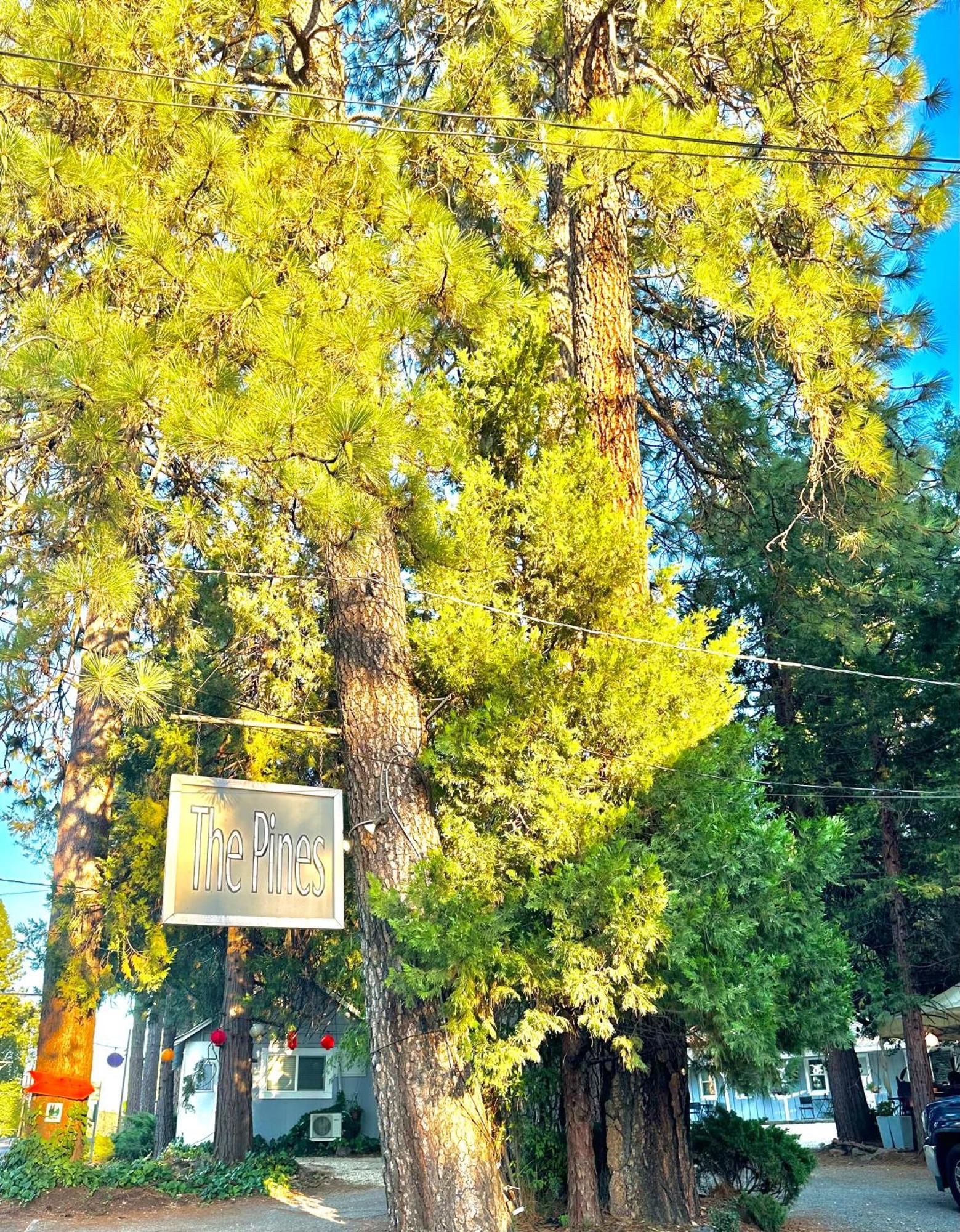 The Pines Inn And Cottages Grass Valley Exterior photo