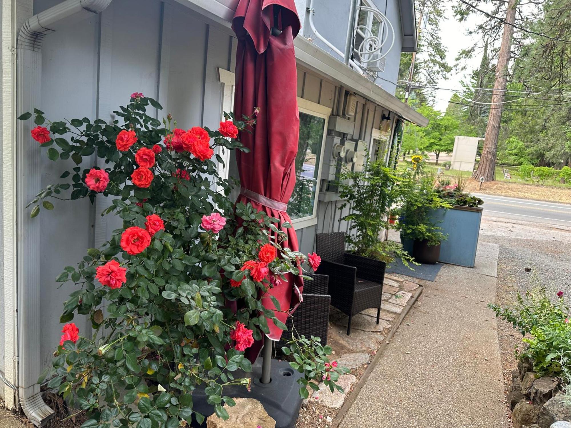The Pines Inn And Cottages Grass Valley Exterior photo